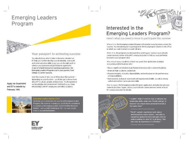 Emerging Leaders Program_EY